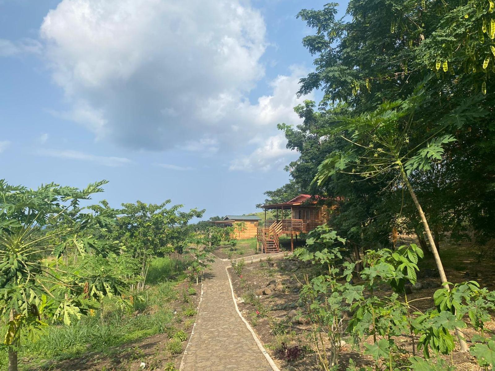 Monte Mar Saotome Villa Morro Peixe Eksteriør bilde